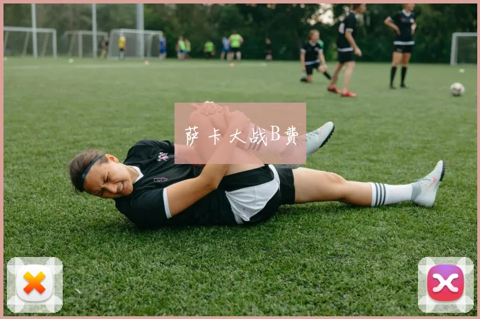 萨卡大战B费