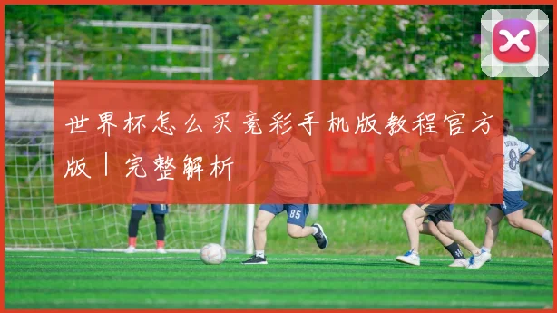 世界杯怎么买竞彩手机版教程官方版｜完整解析