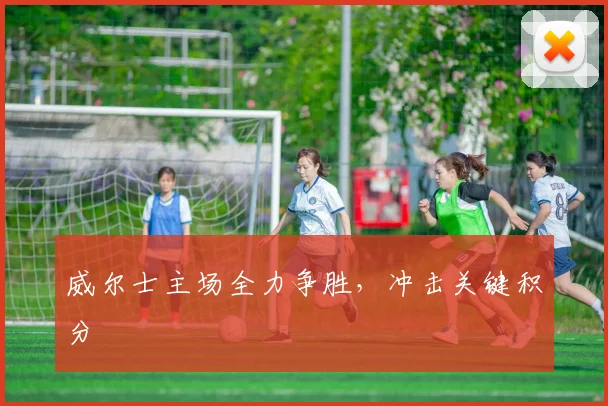 威尔士主场全力争胜，冲击关键积分