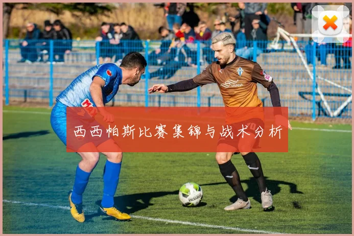 西西帕斯比赛集锦与战术分析