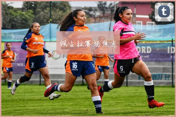 佩古拉赛场焦点