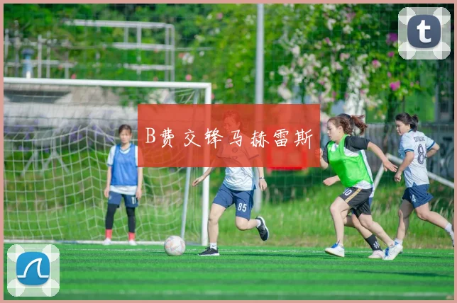 B费交锋马赫雷斯