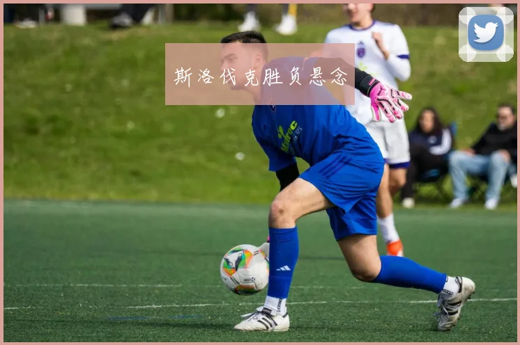 斯洛伐克胜负悬念