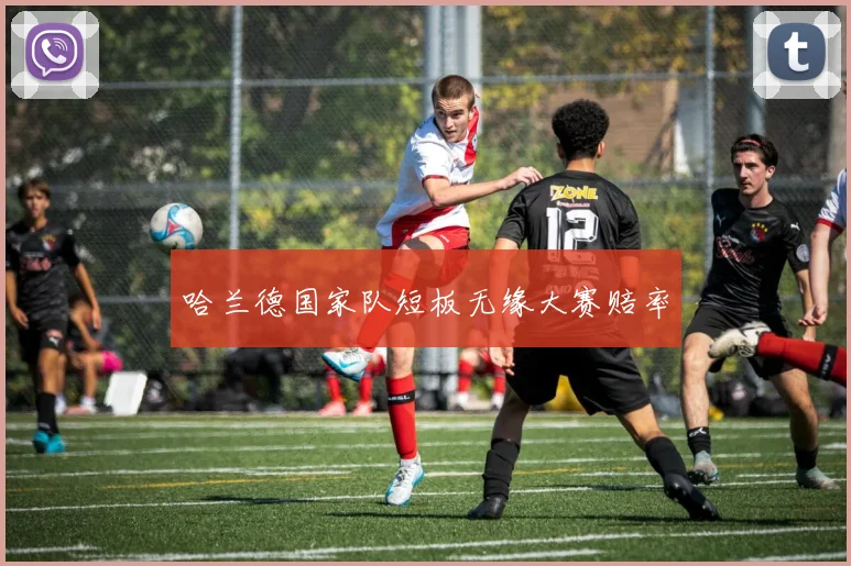 哈兰德国家队短板无缘大赛赔率