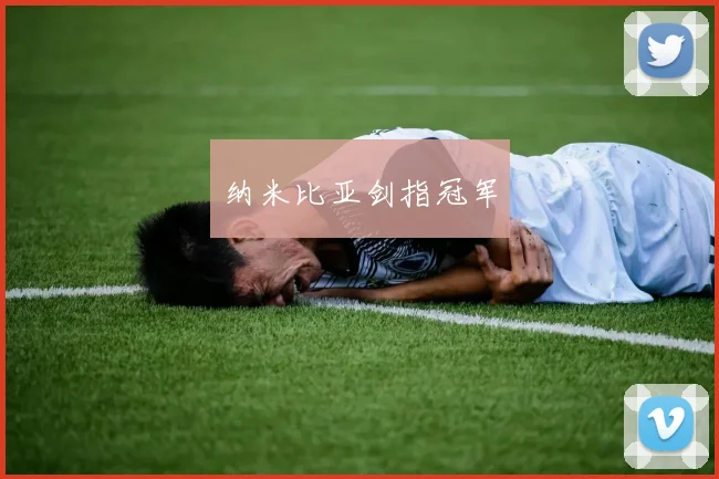 纳米比亚剑指冠军
