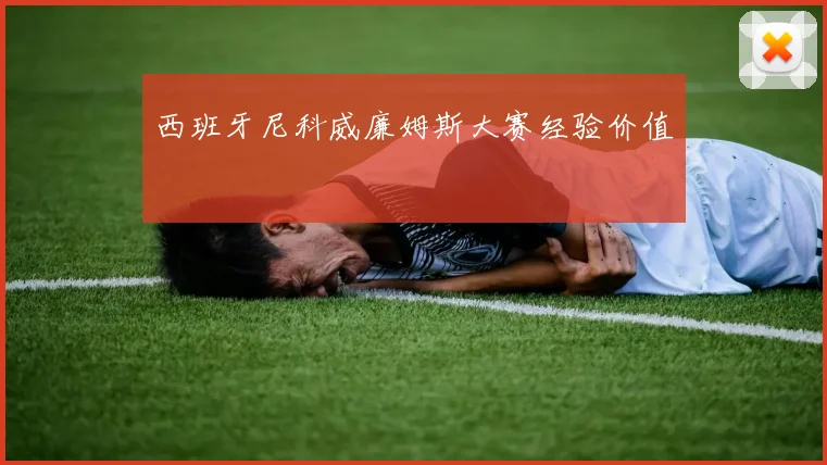 西班牙尼科威廉姆斯大赛经验价值