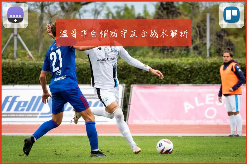 温哥华白帽防守反击战术解析