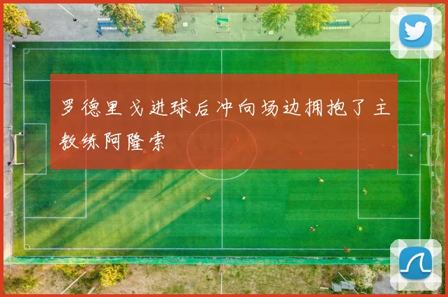 罗德里戈进球后冲向场边拥抱了主教练阿隆索