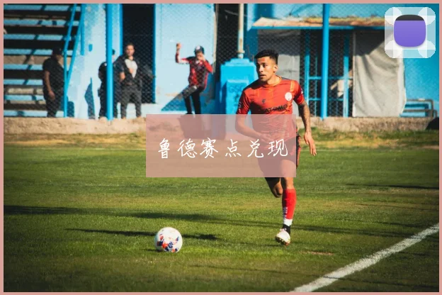 鲁德赛点兑现
