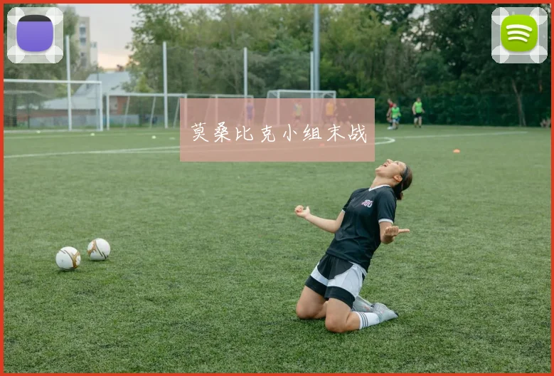 莫桑比克小组末战