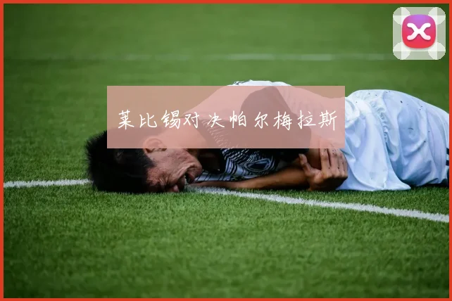 莱比锡对决帕尔梅拉斯
