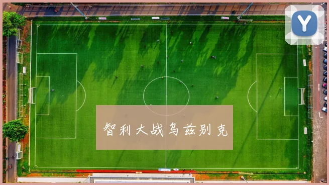 智利大战乌兹别克