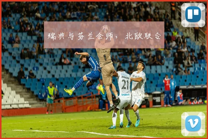 瑞典与芬兰会师，北欧联合