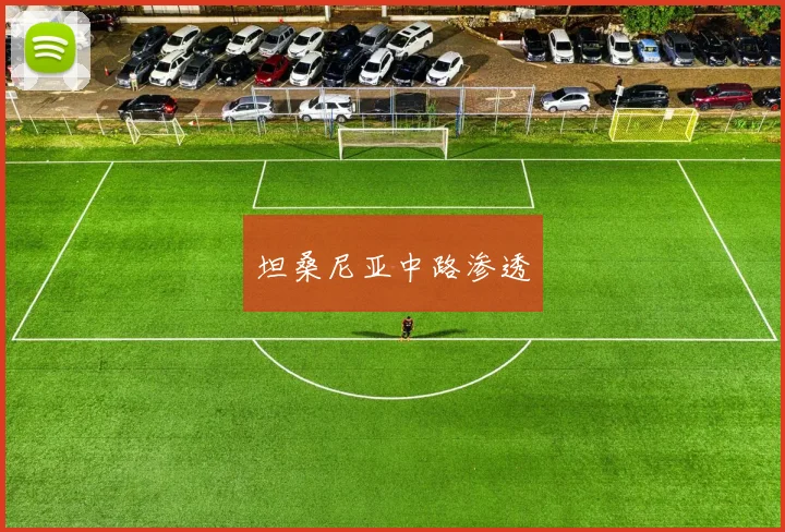 坦桑尼亚中路渗透
