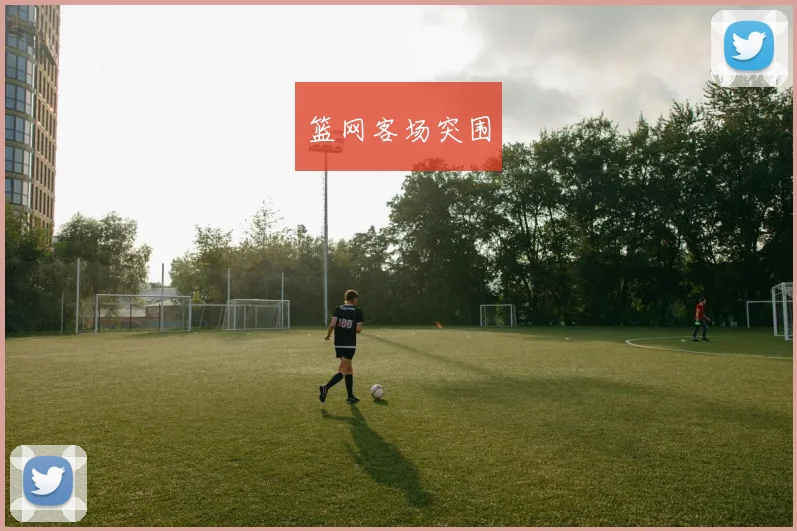 篮网客场突围