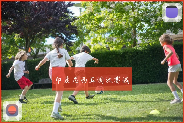 印度尼西亚淘汰赛战