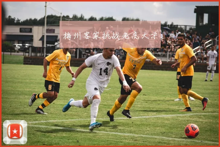 梅州客家挑战老虎大学
