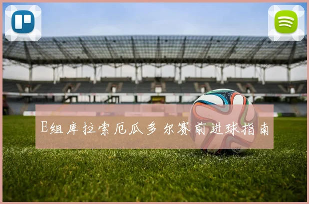 E组库拉索厄瓜多尔赛前进球指南