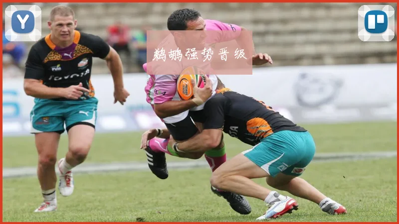 鹈鹕强势晋级