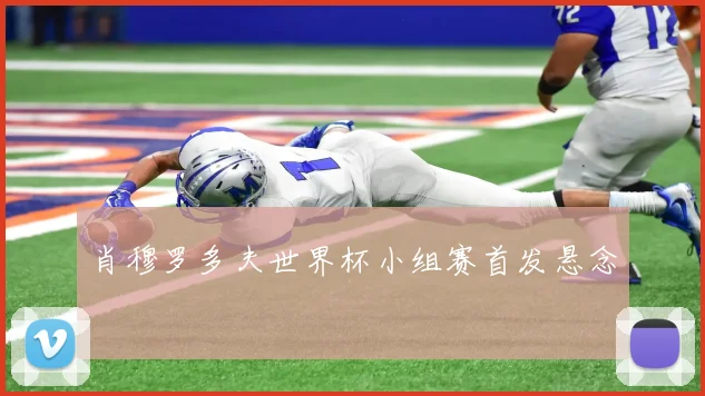 肖穆罗多夫世界杯小组赛首发悬念