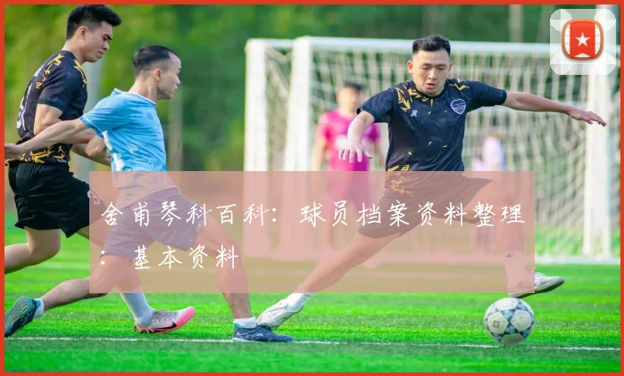 舍甫琴科百科：球员档案资料整理：基本资料