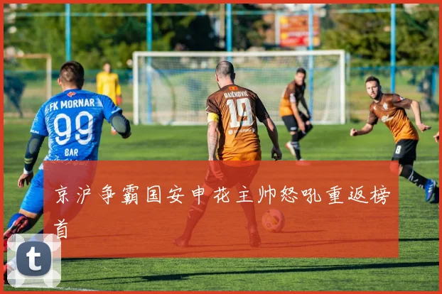 京沪争霸国安申花主帅怒吼重返榜首