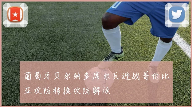葡萄牙贝尔纳多席尔瓦迎战哥伦比亚攻防转换攻防解读
