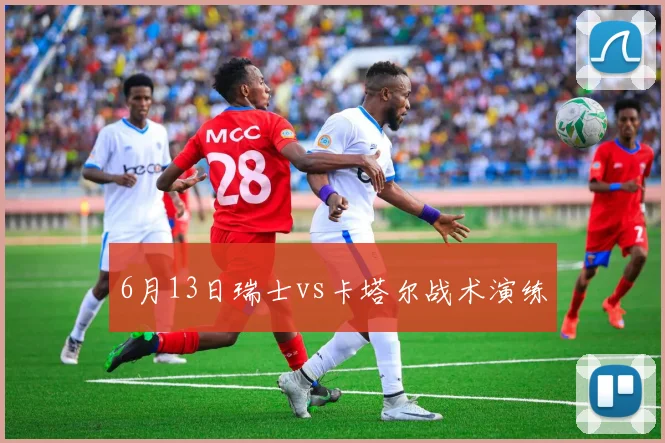 6月13日瑞士vs卡塔尔战术演练